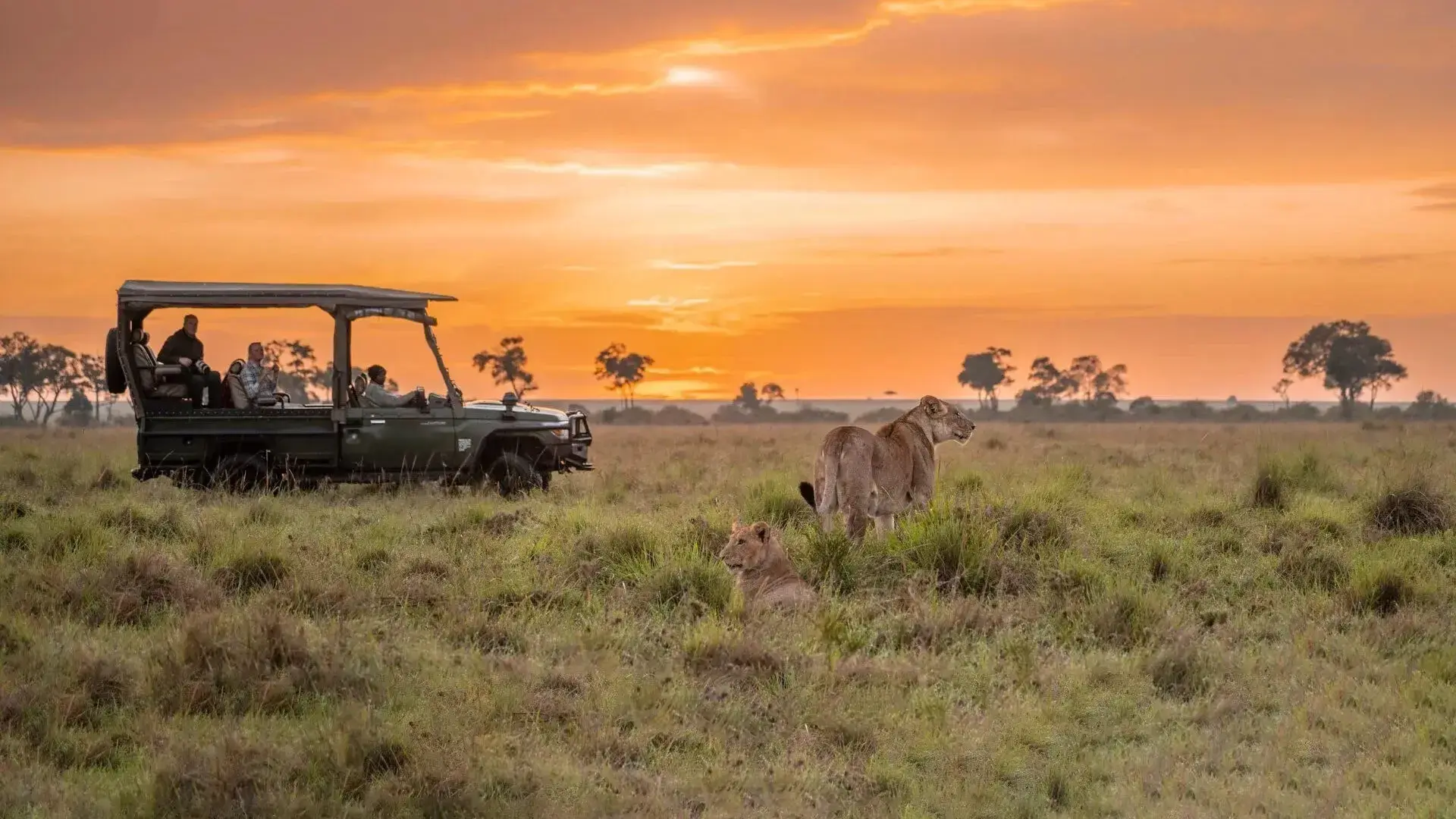 5 Days 4 Nights Nature Reserves And Wildlife Exploration